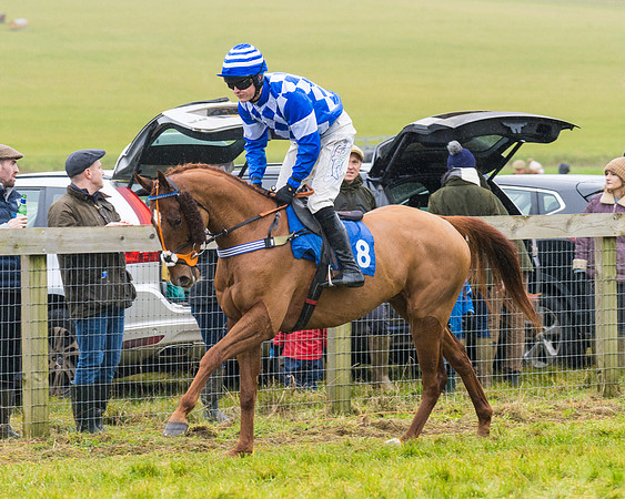 Race 2 - Maiden  (16 of 142)
