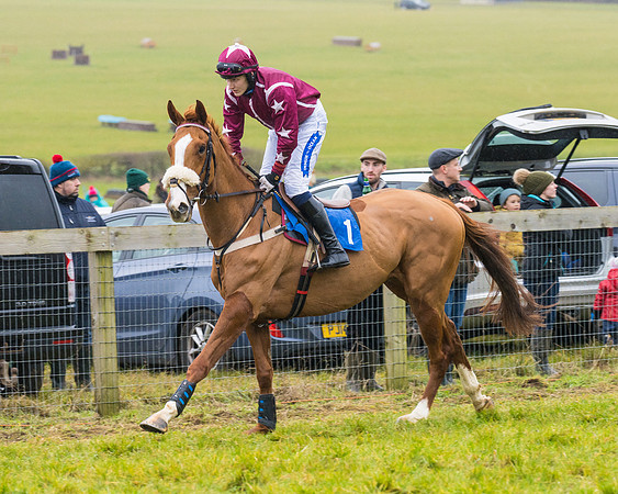 Race 2 - Maiden  (18 of 142)