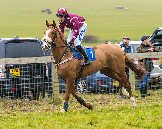 Race 2 - Maiden  (19 of 142)
