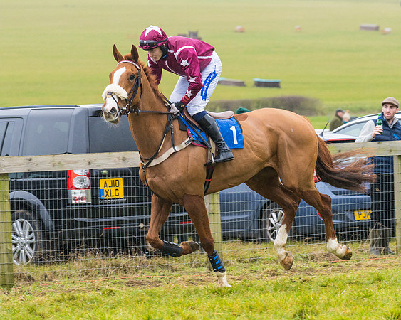 Race 2 - Maiden  (20 of 142)