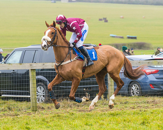 Race 2 - Maiden  (21 of 142)