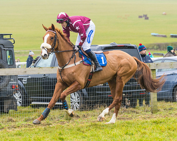 Race 2 - Maiden  (22 of 142)