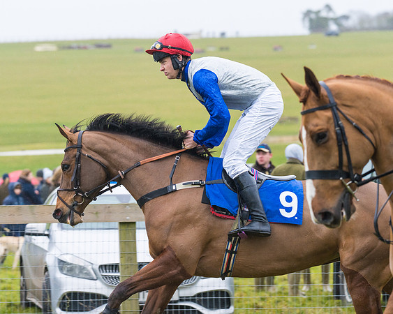 Race 2 - Maiden  (25 of 142)