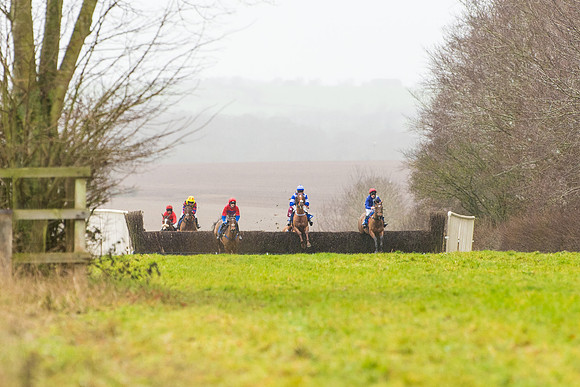Race 2 - Maiden  (29 of 142)