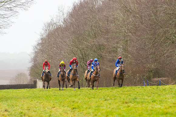 Race 2 - Maiden  (31 of 142)