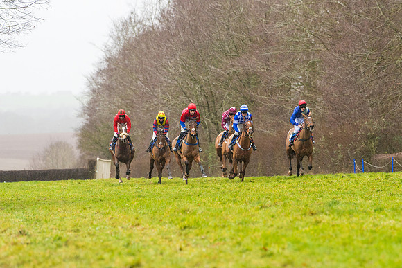 Race 2 - Maiden  (32 of 142)