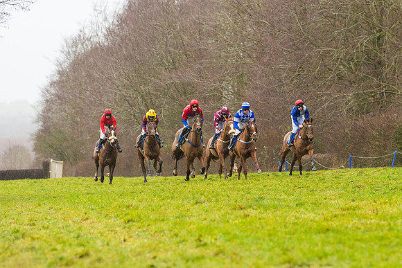 Race 2 - Maiden  (33 of 142)