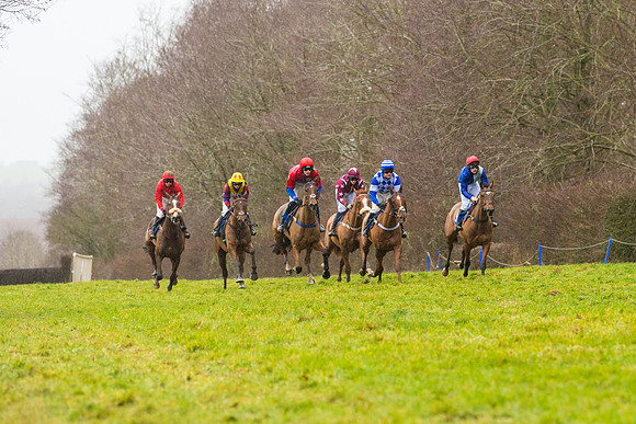 Race 2 - Maiden  (34 of 142)