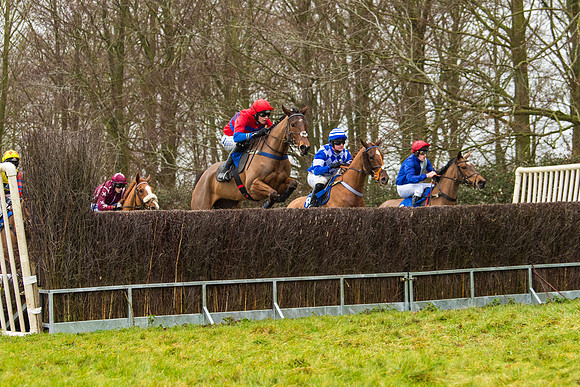 Race 2 - Maiden  (36 of 142)