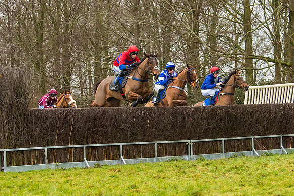 Race 2 - Maiden  (37 of 142)