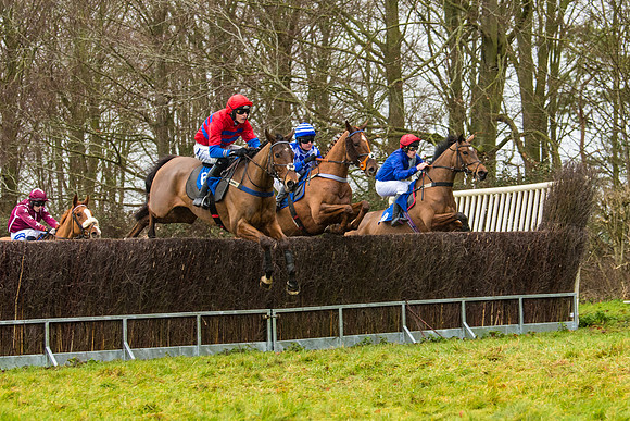 Race 2 - Maiden  (39 of 142)