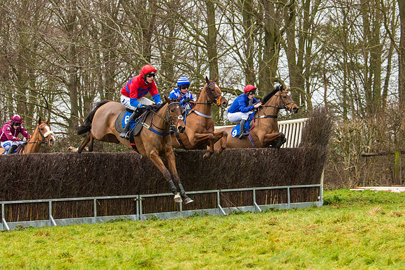 Race 2 - Maiden  (40 of 142)