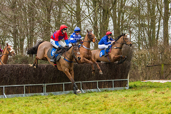 Race 2 - Maiden  (41 of 142)