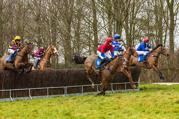 Race 2 - Maiden  (43 of 142)