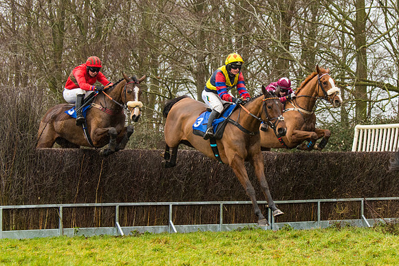 Race 2 - Maiden  (44 of 142)