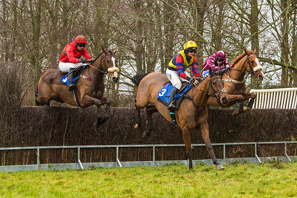 Race 2 - Maiden  (45 of 142)