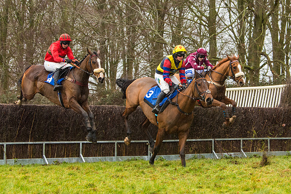 Race 2 - Maiden  (46 of 142)
