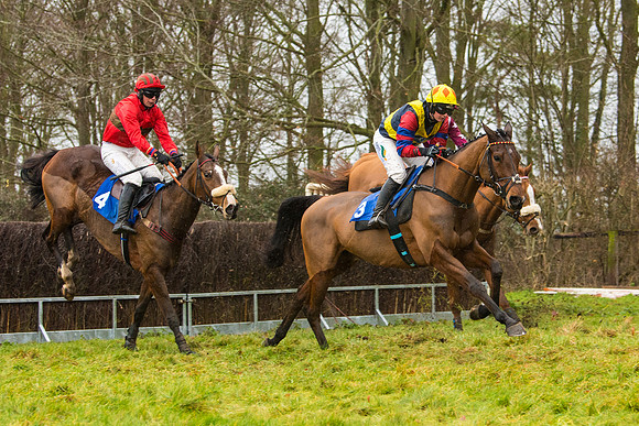 Race 2 - Maiden  (49 of 142)