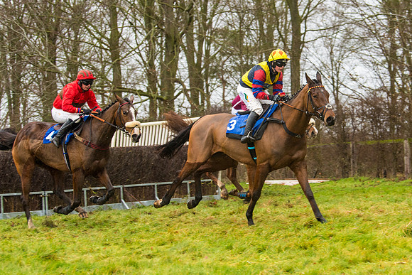 Race 2 - Maiden  (51 of 142)