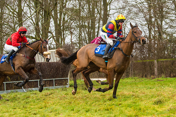 Race 2 - Maiden  (52 of 142)
