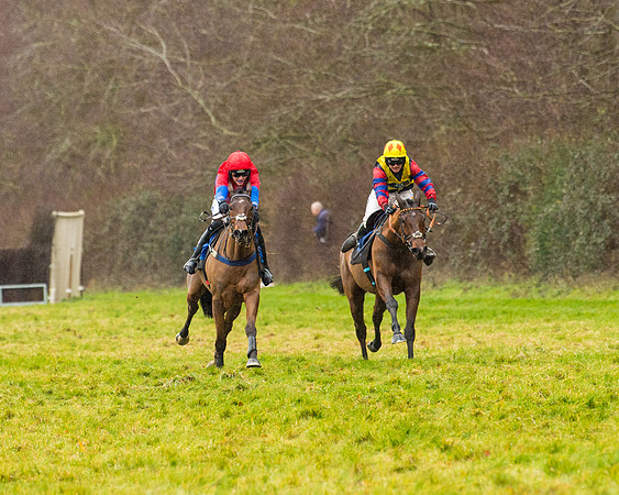 Race 2 - Maiden  (77 of 142)