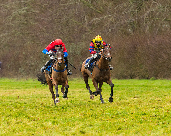 Race 2 - Maiden  (79 of 142)