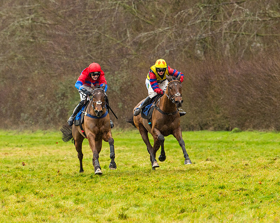 Race 2 - Maiden  (80 of 142)