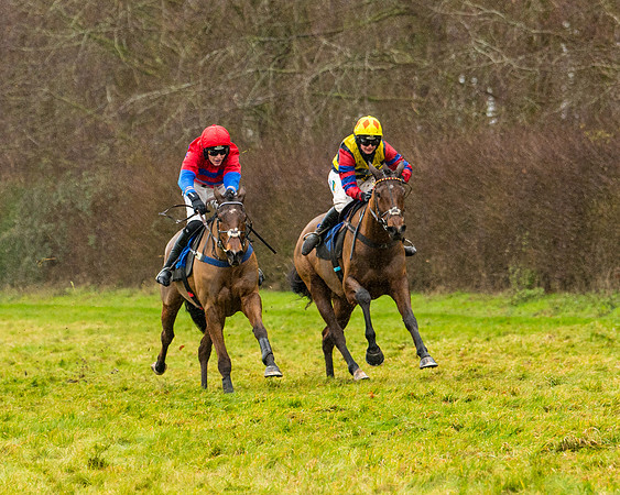 Race 2 - Maiden  (82 of 142)