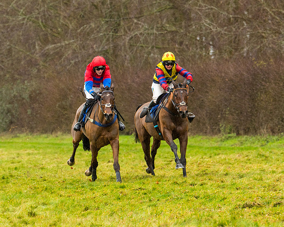 Race 2 - Maiden  (83 of 142)