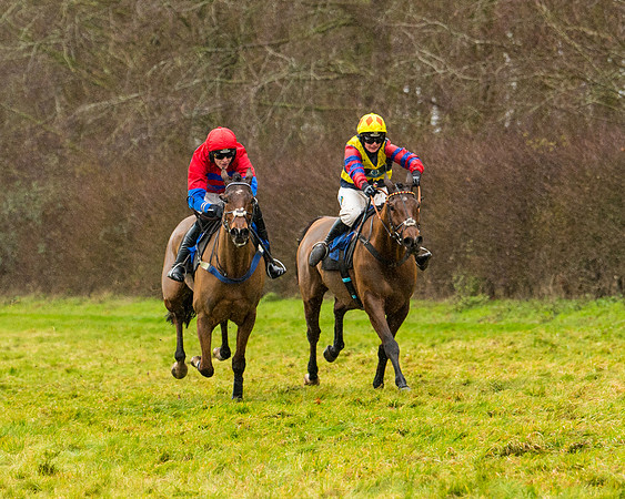 Race 2 - Maiden  (84 of 142)