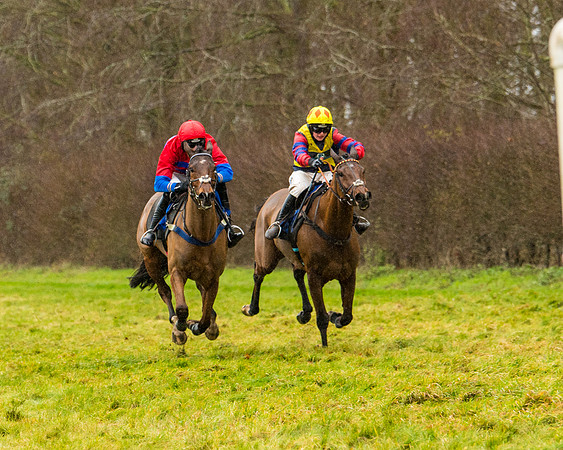 Race 2 - Maiden  (85 of 142)