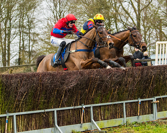 Race 2 - Maiden  (87 of 142)