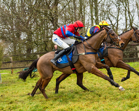 Race 2 - Maiden  (91 of 142)