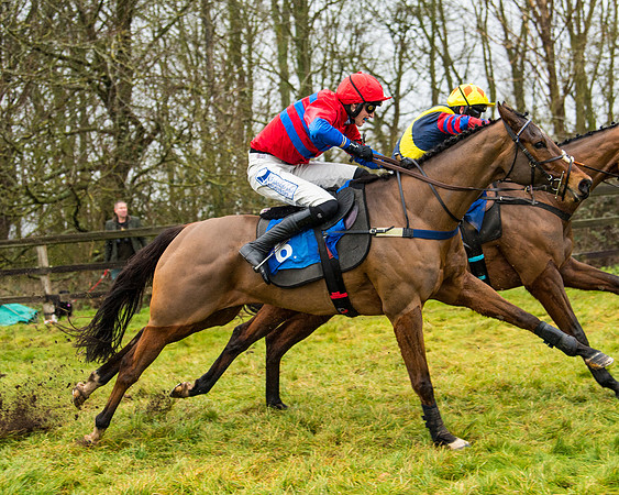 Race 2 - Maiden  (92 of 142)
