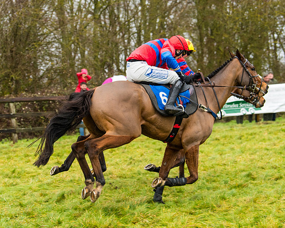Race 2 - Maiden  (93 of 142)