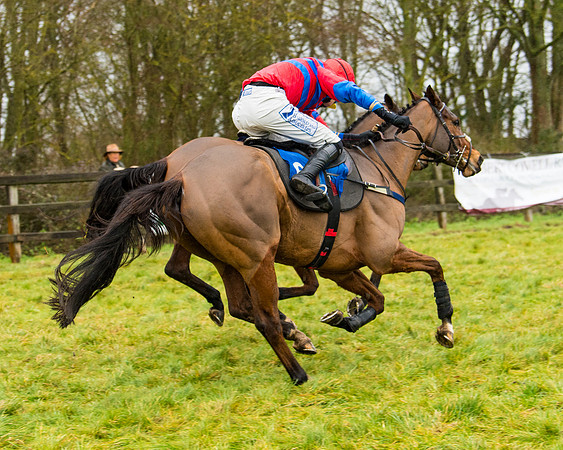 Race 2 - Maiden  (95 of 142)