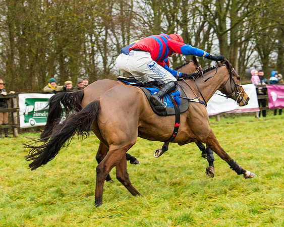 Race 2 - Maiden  (96 of 142)
