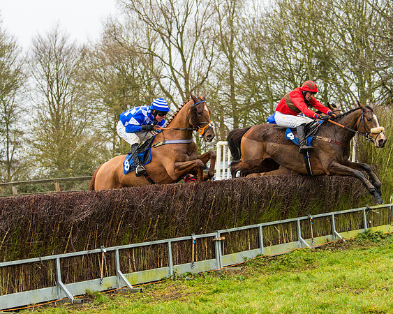 Race 2 - Maiden  (99 of 142)