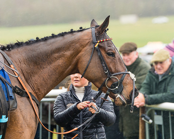 Race 2 - Maiden  (132 of 142)
