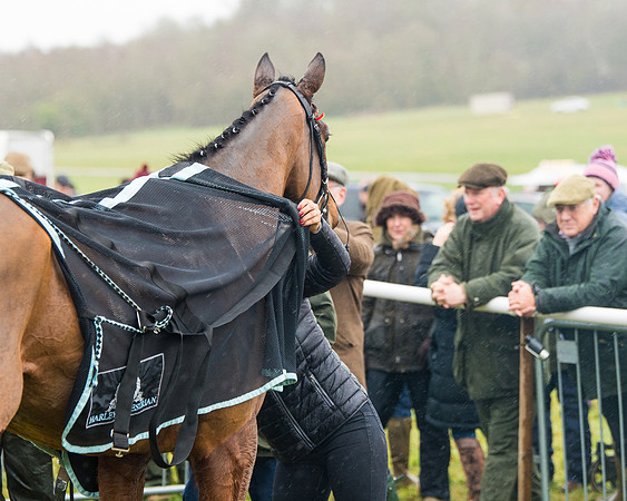 Race 2 - Maiden  (134 of 142)