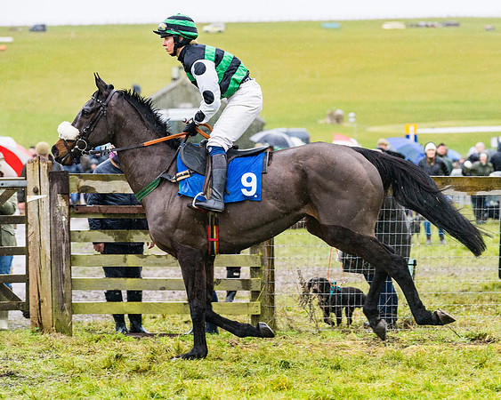 Race 4 - Ladies Open (25 of 108)