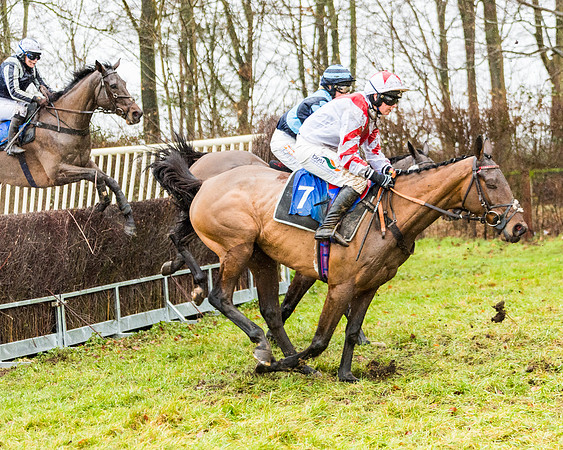 Race 4 - Ladies Open (62 of 108)