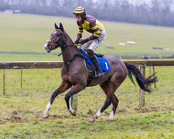 Race 7 - Maiden Conditions (8 of 108)