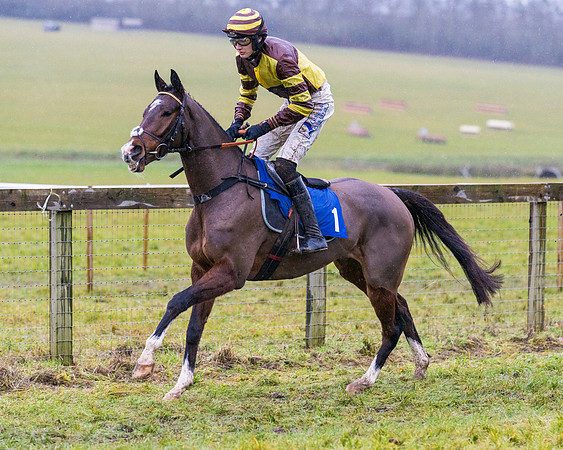 Race 7 - Maiden Conditions (9 of 108)