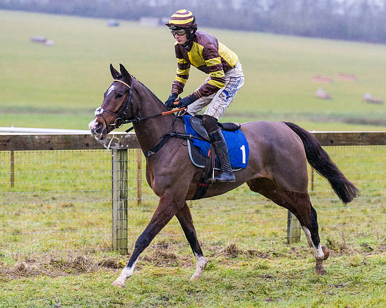 Race 7 - Maiden Conditions (10 of 108)