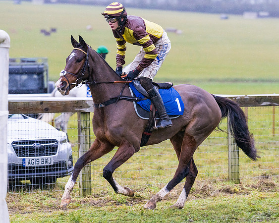 Race 7 - Maiden Conditions (12 of 108)