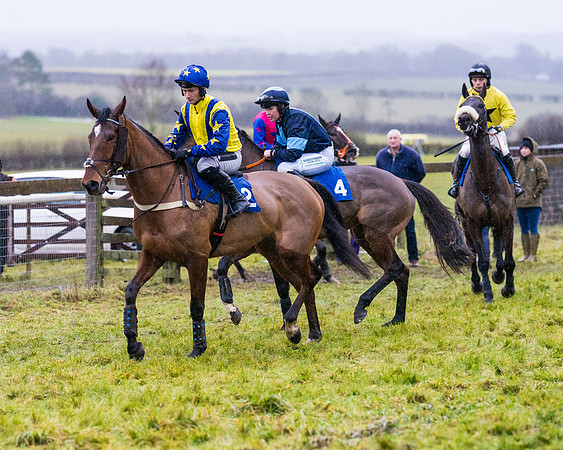 Race 7 - Maiden Conditions (23 of 108)