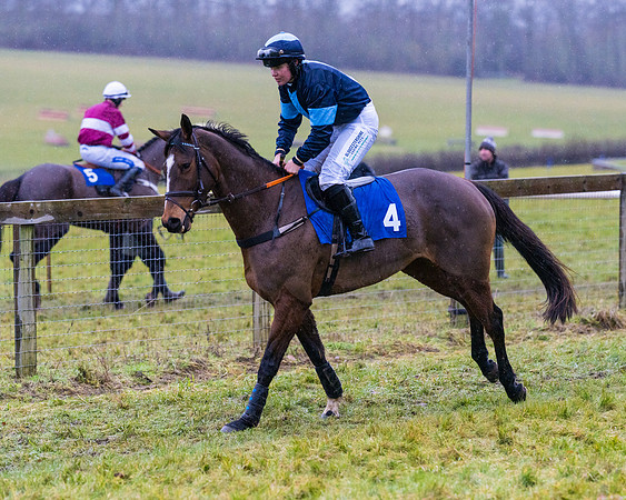 Race 7 - Maiden Conditions (27 of 108)