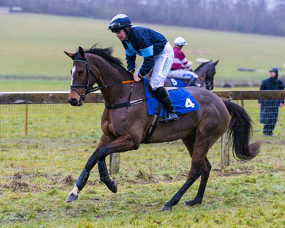 Race 7 - Maiden Conditions (30 of 108)