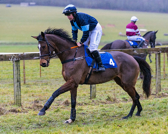 Race 7 - Maiden Conditions (31 of 108)